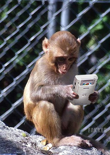 קובץ:קוף משחק בפלייבוי.jpg