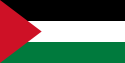 קובץ:125px-Flag of Palestine.svg.png