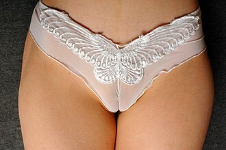 Female Cameltoe.jpg