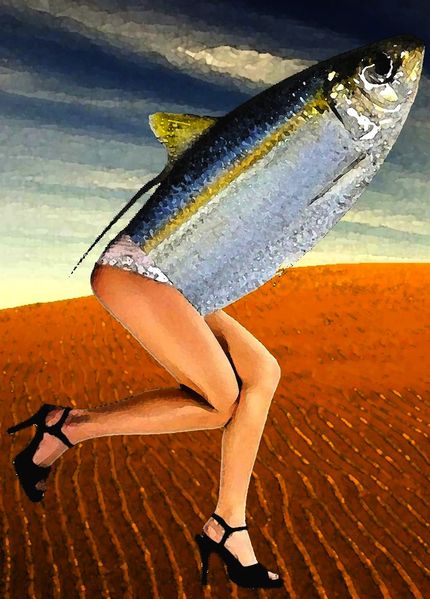 קובץ:Sardine fish fishes legs high resolution desktop 1600x1200 wallpaper-216710.jpg