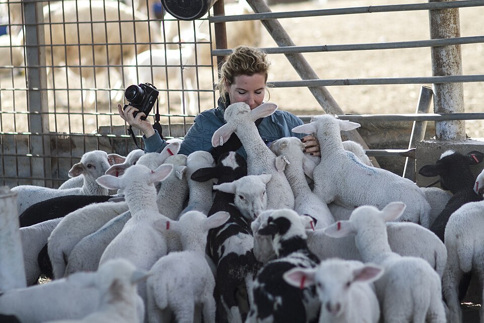 קובץ:Tal gilboa 12.jpg