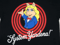 סיסטם ירדנה.gif