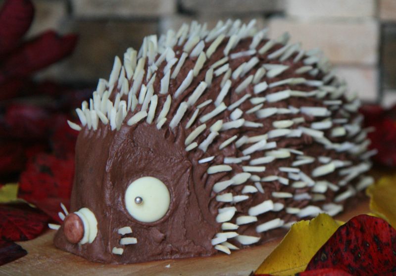 קובץ:Chocolate-hedgehog-cake-2.jpg