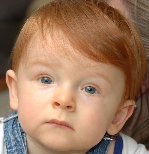 קובץ:Redheaded child mesmerized 2.jpg