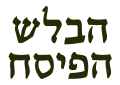 תמונה ממוזערת לגרסה מ־06:19, 23 ביולי 2025