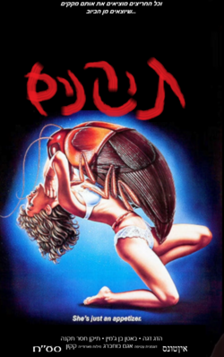 תיקנים - הדג דגה.png