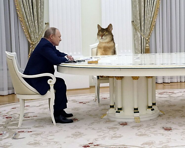 קובץ:Putin and Macron meeting with a large table (1)(1).jpg