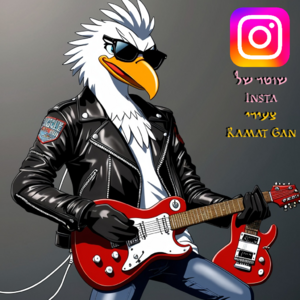 Zeirey RG Shoter Shel Insta.png