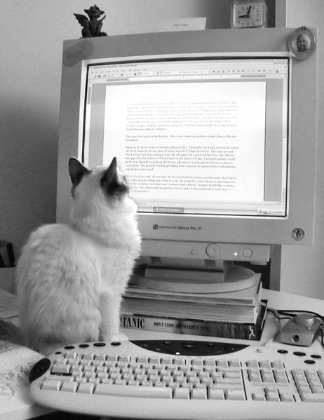 קובץ:Literary+cat-3241.jpg