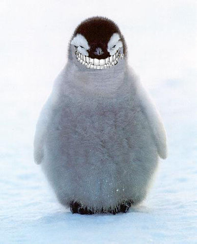 File:Penguin-chick evil.jpg