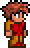 Will (Terraria).png