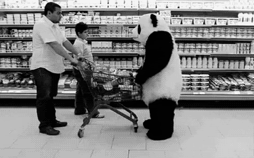 File:Panda supermarket.gif