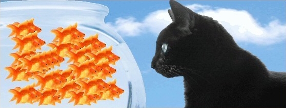 File:Cat-and-goldfish-2.jpg
