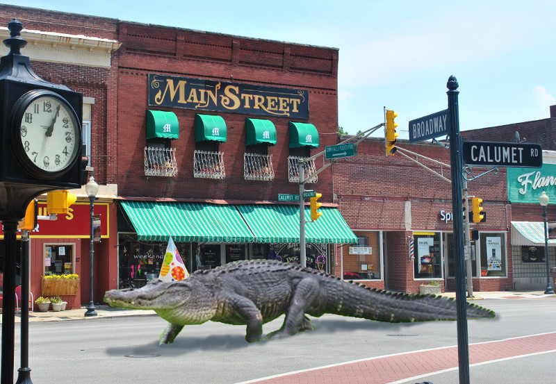 File:Alligator-on-main-street.jpg