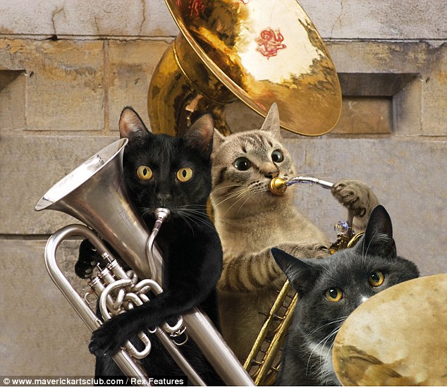 File:Kitties playing brass.jpg