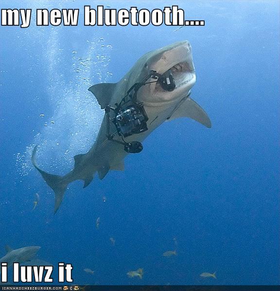 BluetoothShark.jpg