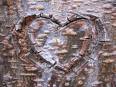 Tree carve heart.jpg