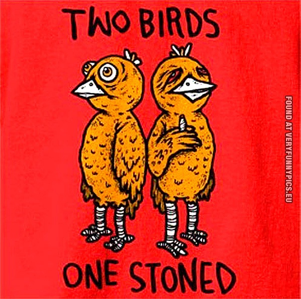 File:2 birds 1 stoned.jpeg