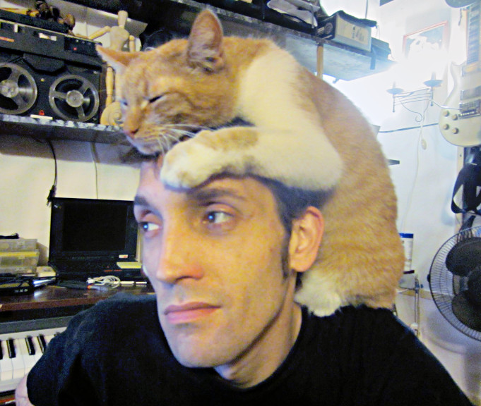 File:Cat-on-head-3.jpg