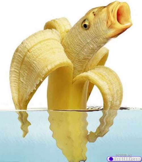 File:Aquatic banana.jpg