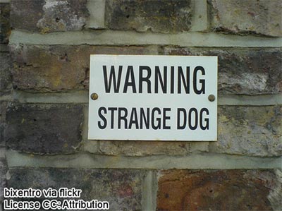 File:Strange-dog.jpg