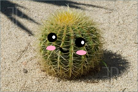 File:Cactusball.png