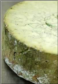 File:Mouldy hunk of cheese.jpg
