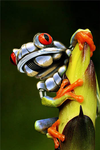 File:Robo-frog.jpg