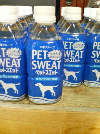 File:Pet sweat.jpg