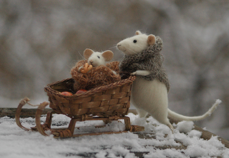 File:Mice-with-sled.jpg