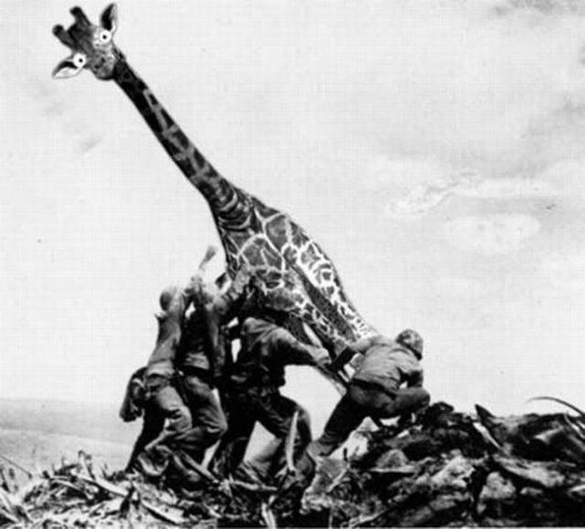 File:Iwo jima giraffe raising.jpg