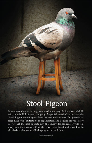 File:Stool-pigeon1.jpg