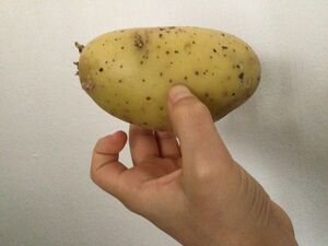 Potatoe.jpeg