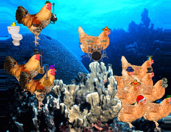 Chicken of the Sea