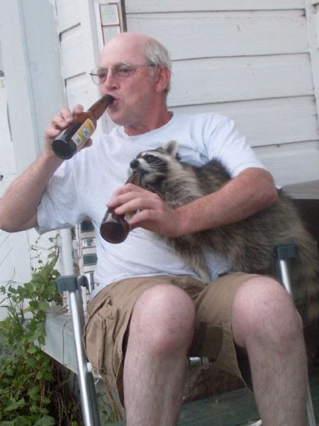 File:Beer with a raccoon.jpg