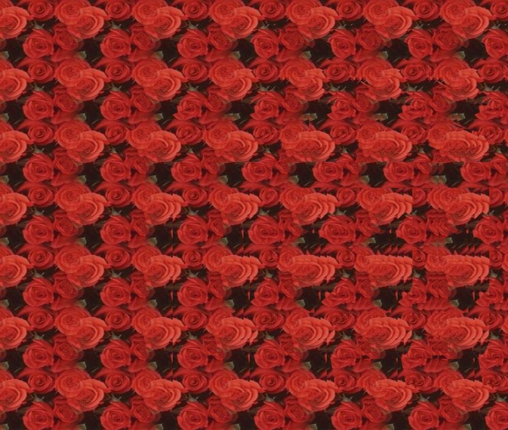 Stereogram (14).png