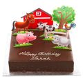Farm-novelty-decoration-kit-cake-.jpg