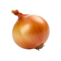onion yellow - buy