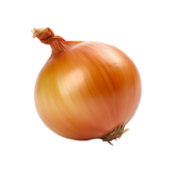 ?pedia onion yellow.png