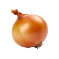 ?pedia onion yellow.png