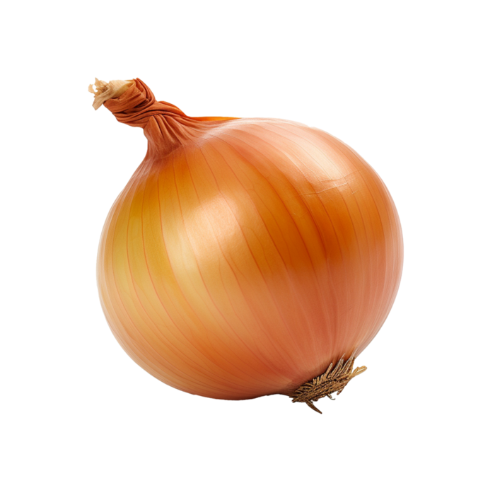 ?pedia onion yellow.png