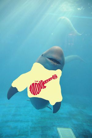 A beautiful illustration of how porpoises like The Monkees.