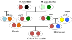 Child first cousins Homozy BD.png
