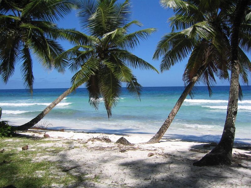 File:Island Paradise.jpg