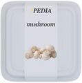 mushroom - buy