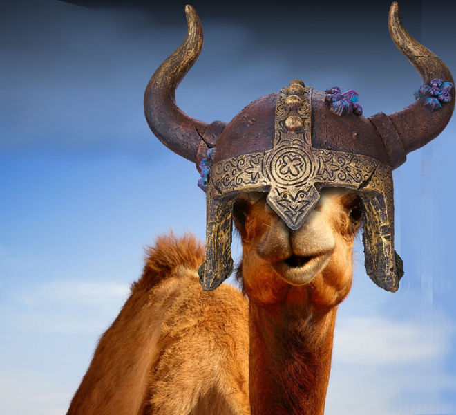 File:Camel-Viking.jpg