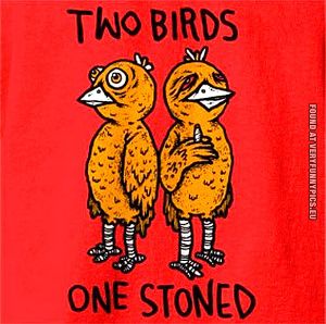 2 birds 1 stoned.jpeg