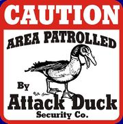 Duck patrol2.JPG