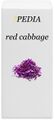 red cabbage - buy