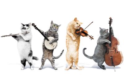 Cats-with-instruments-1.jpg